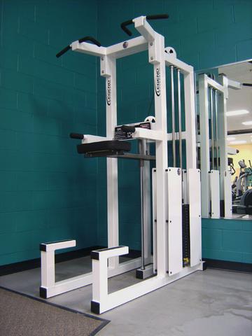 CHIN DIP ASSIST - 933 Legend