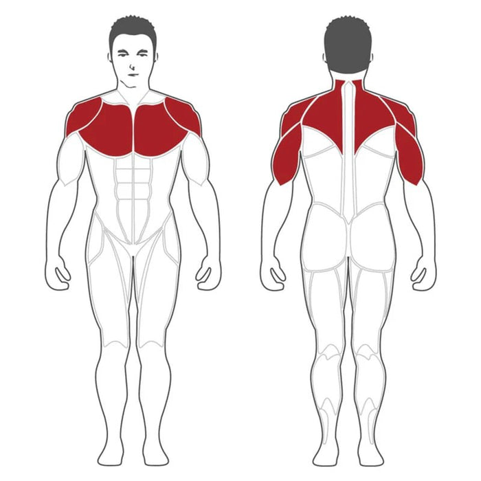 Steelflex incline chest press hotsell