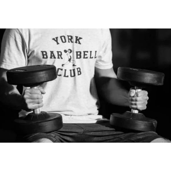 Pro Style Dumbbell Sets York ISF Fitness Equipment